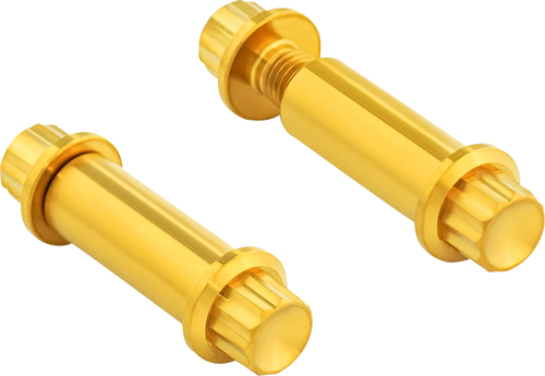 Arlen Ness Bolt Kit - Footpeg - 12-Point - Titanium - Gold 300-802
