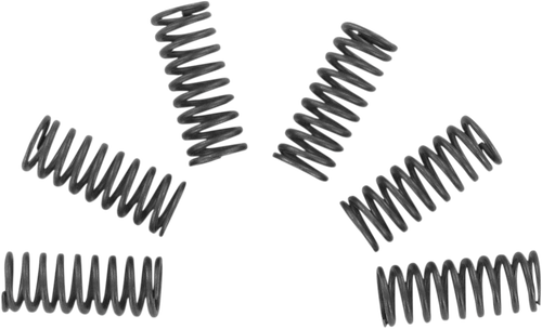 Ebc Clutch Springs CSK32