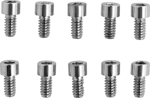 Drag Specialties Bolts - Socket-Head - Replacement - Smooth/Coarse Thread - #10-24 X 3/8" - 10 Pack DS-190586S