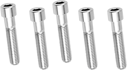 Drag Specialties Bolts - Socket-Head/Replacement - Smooth/Coarse Thread - 1/2"-13 X 2-1/4" - 5 Pack DS192315