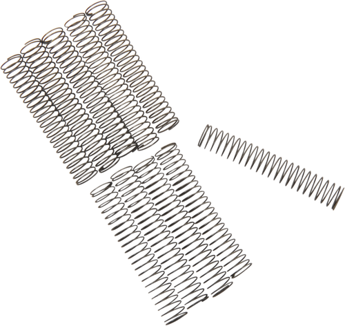 Eastern Motorcycle Parts Check Valve Spring - Big Twin A-26262-80
