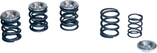 S&S Cycle Valve Spring Kit - 0.550" Lift - Panhead | Shovelhead Engines '48-'84 90-2053