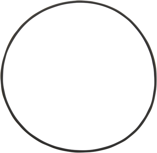 Jims Cam Cover Large O-Ring 2171