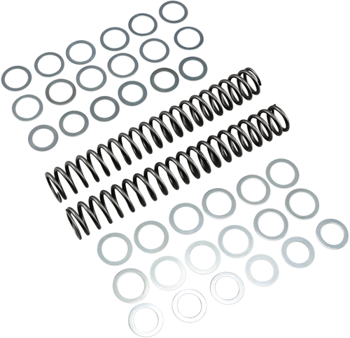 Race Tech Fork Springs - 1.00 Kg/Mm FRSP S3827100