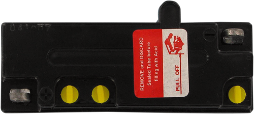 Parts Unlimited Conventional Battery R6N12A-2D