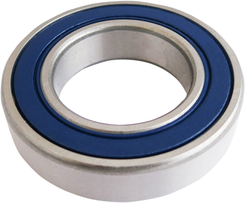 Epi Bearing - Axle - Rear WE305501