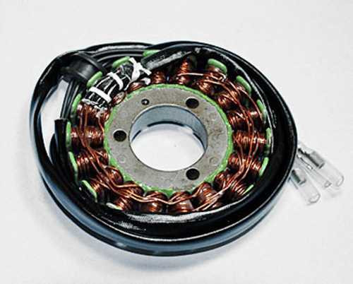 Rick'S Motorsport Electric Oe Style Stator 21-301