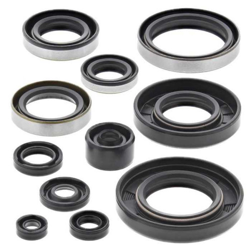 Vertex Engine Oil Seal Kit 822288