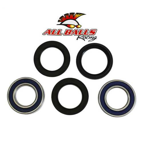 All Balls Rear Wheel Bearing Kit - Both Wheels 25-1122