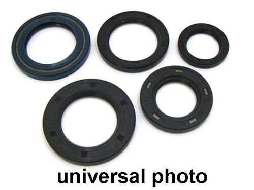 Vertex Engine Oil Seal Kit 822172