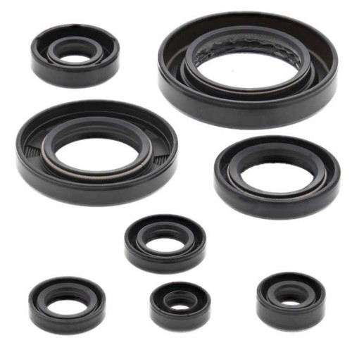 Vertex Engine Oil Seal Kit 822354