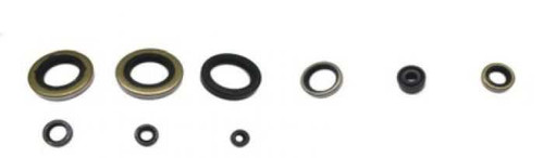 Psychic Engine Oil Seal Kit AT-09616