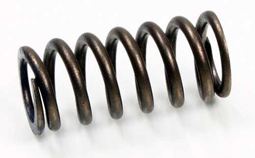 Psychic Intake Valve Spring XU-09519IS