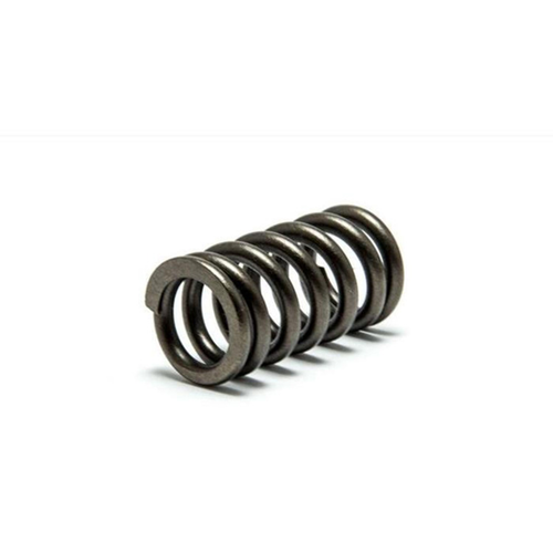 Psychic Intake Valve Spring XU-09550IS