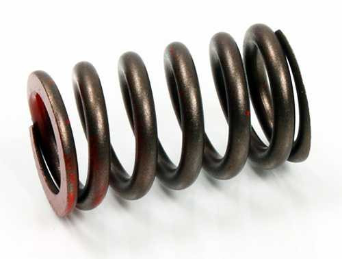 Psychic Exhaust Valve Spring XU-09528ES