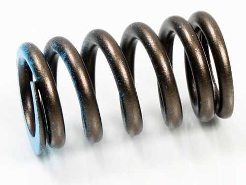 Psychic Intake Valve Spring XU-09528IS