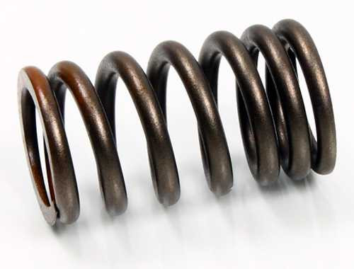 Psychic Intake Valve Spring XU-09533IS
