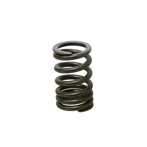 Psychic Intake Valve Spring XU-09552IS
