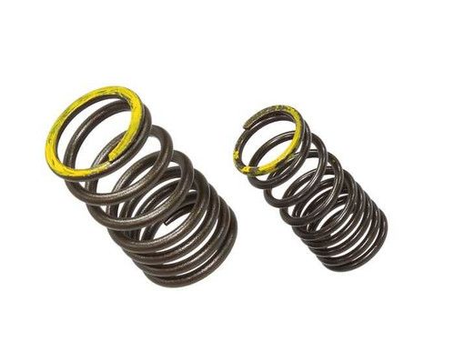 Psychic Exhaust Valve Spring XU-09563ES