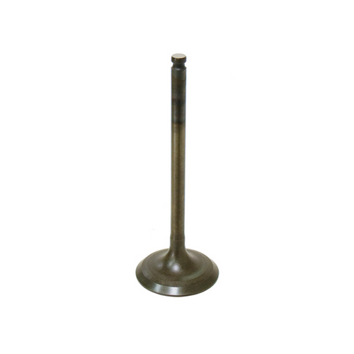 Bronco Intake Valve Pc AU-09159I