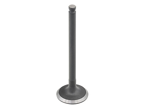 Bronco Intake Valve AU-09230I