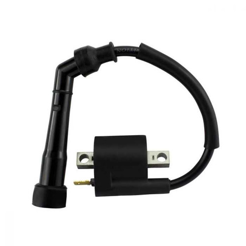 Rm Stator Rmstator External Ignition Coil With Cap RMS060-108285