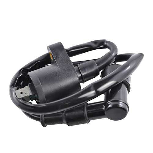Rm Stator Rmstator External Ignition Coil With Cap RM06001