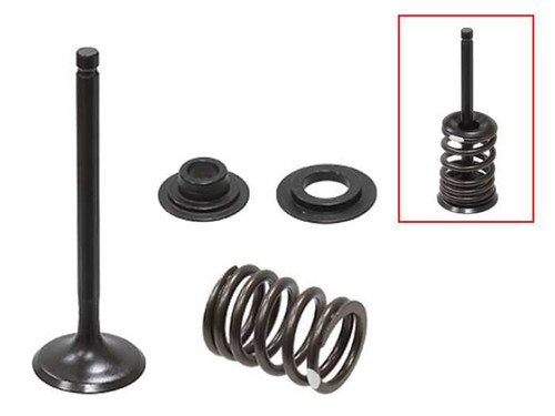 Psychic Intake Valve Kit XU-09558-1IK