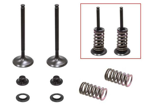 Psychic Exhaust Valve Kit XU-09541EK