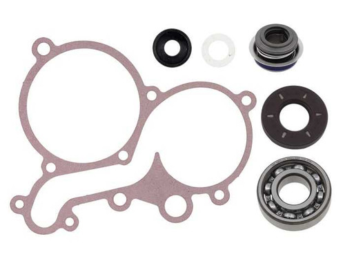 Spi Water Pump Repair Kit SM-10104