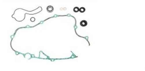 Psychic Water Pump Repair Kit MX-10267