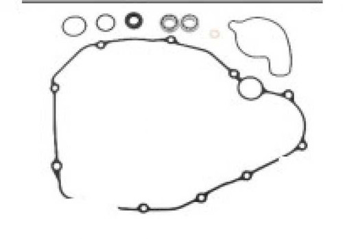 Psychic Water Pump Repair Kit MX-10266