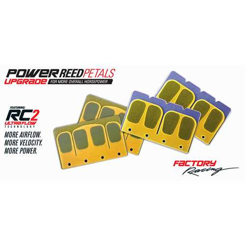 Boyesen Offroad Power Reeds 612