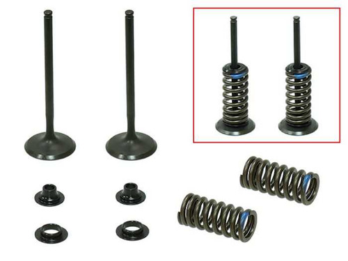 Psychic Intake Valve Kit XU-09523-1IK