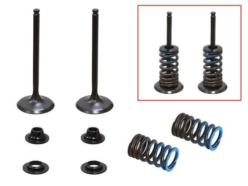 Psychic Intake Valve Kit XU-09553IK