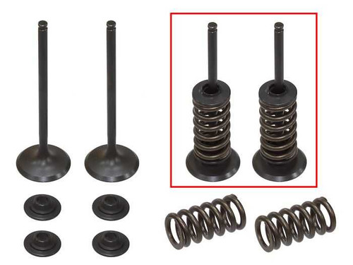 Psychic Intake Valve Kit XU-09551IK