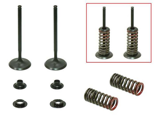 Psychic Intake Valve Kit XU-09523IK