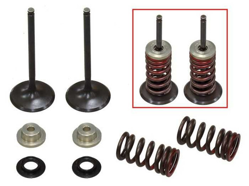 Psychic Intake Valve Kit XU-09531IK