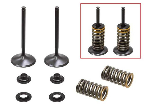 Psychic Intake Valve Kit XU-09541IK