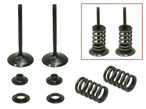 Psychic Intake Valve Kit XU-09502IK