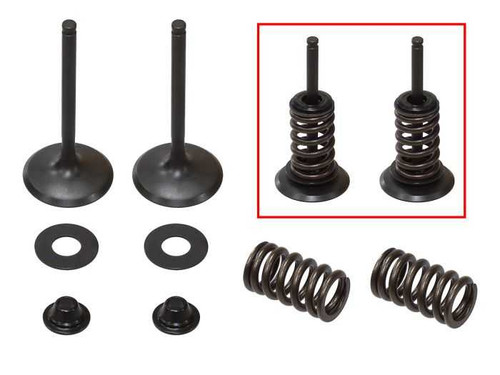 Psychic Intake Valve Kit XU-09528IK