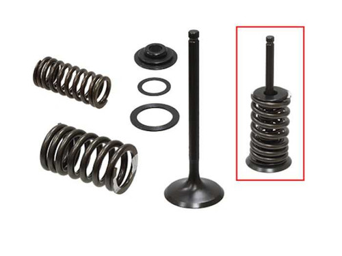 Psychic Intake Valve Kit XU-09543IK