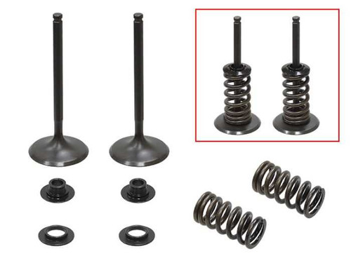 Psychic Intake Valve Kit XU-09555IK