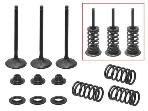 Psychic Intake Valve Kit XU-09524IK