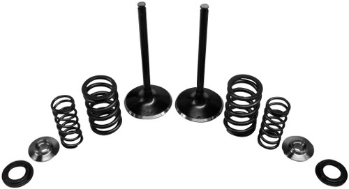 Kibblewhite Kpmi Spring Kit Intake Only .380" Lift Yamaha Apps 2009-'20 80-80950