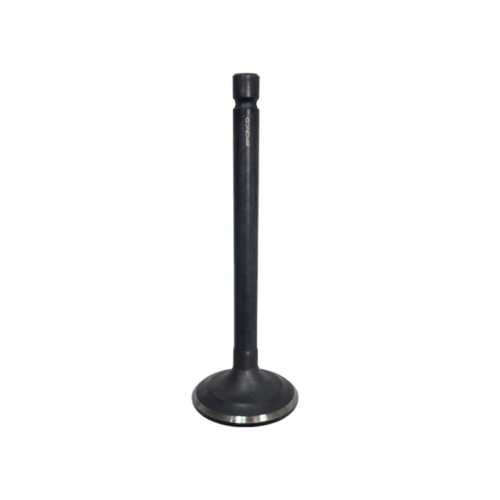 BRONCO Intake Valve AU-09152I