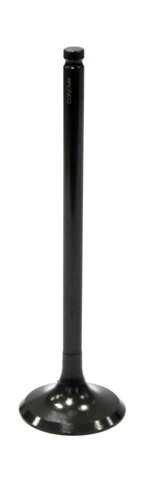 BRONCO Exhaust Valve AU-09033E