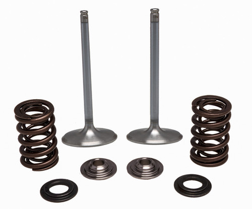 KPMI Ss Intake Valve/Spring Kit 30-32780