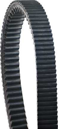 ULTIMAX Ua Drive Belt UA446