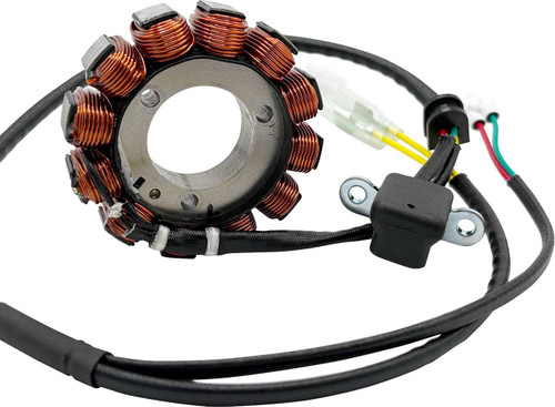 RICK'S MOTORSPORT ELECTRIC Stator - Gas Gas/Husqvarna/KTM 21-0101H